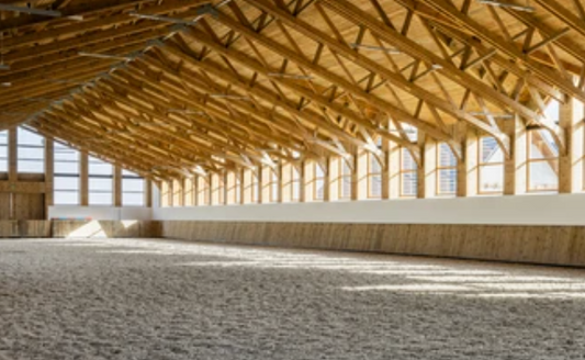 Help us Build our Therapy Arena