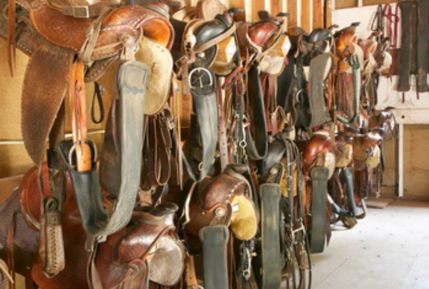 Help us Build our Barn