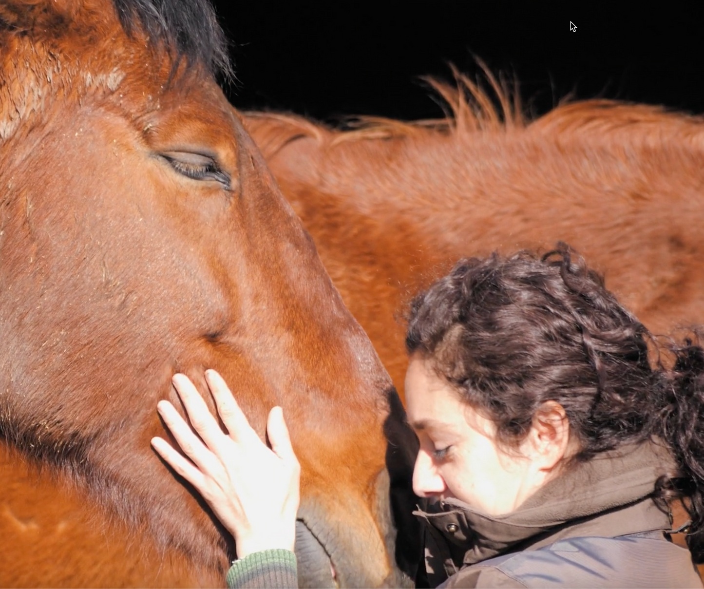 Help a Equine Therapist - Monthly Contribution