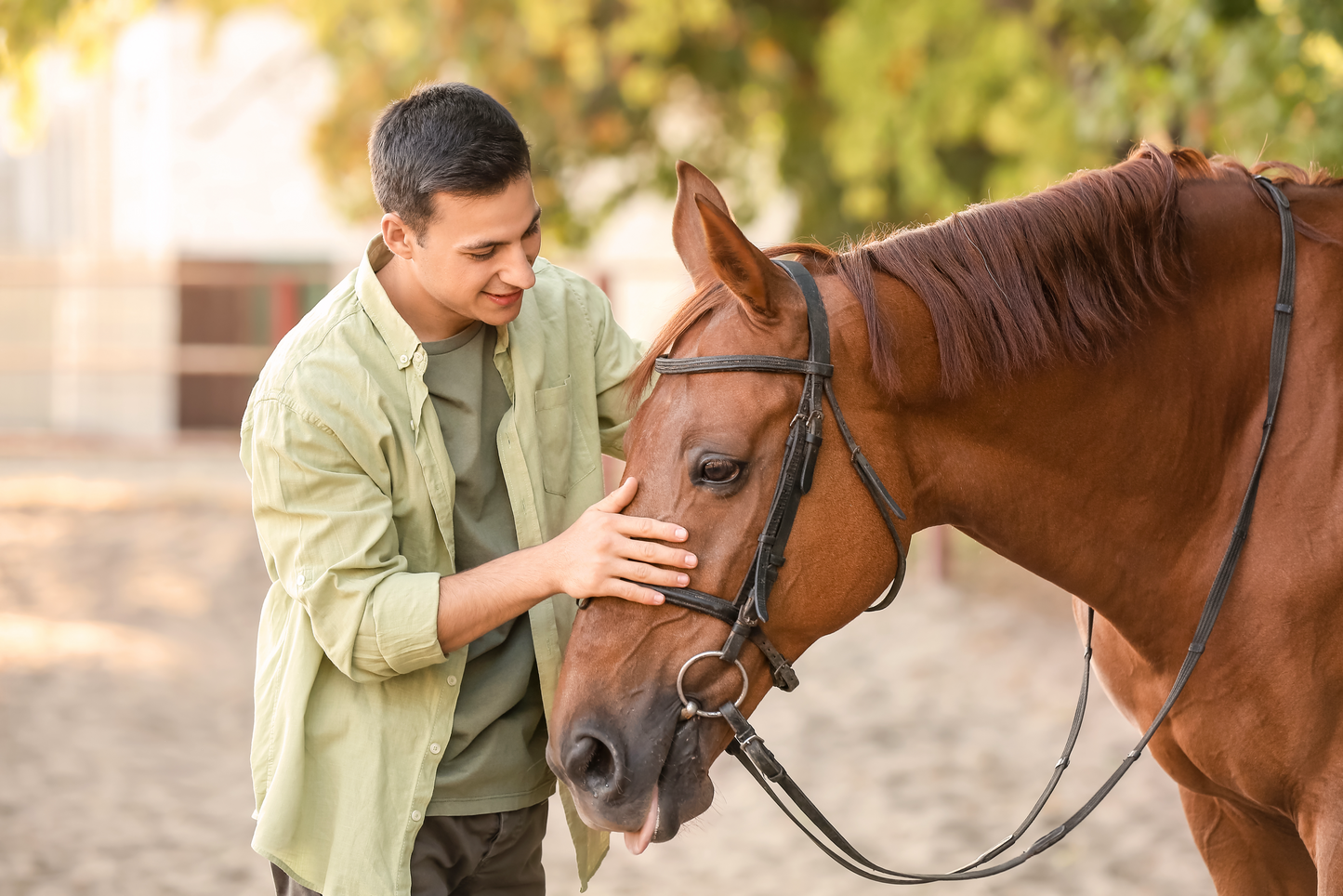 Help a Equine Therapist - Monthly Contribution
